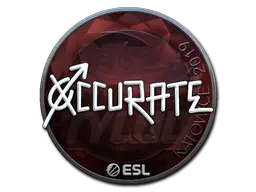 Sticker | xccurate (Foil) | Katowice 2019 Sticker | xccurate (Foil) | Katowice 2019