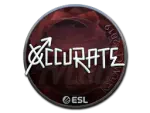 Sticker | xccurate (Foil) | Katowice 2019