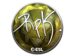 Sticker | RpK (Foil) | Katowice 2019