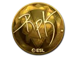 Sticker | RpK (Gold) | Katowice 2019