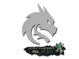 Sticker | Team Spirit | Antwerp 2022 Sticker | Team Spirit | Antwerp 2022