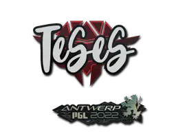 Sticker | TeSeS | Antwerp 2022 Sticker | TeSeS | Antwerp 2022