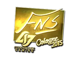 FNS