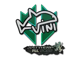 VINI