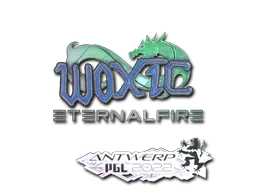Sticker | woxic (Holo) | Antwerp 2022 Sticker | woxic (Holo) | Antwerp 2022