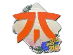 Sticker | Fnatic | Rio 2022