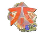 Sticker | Fnatic (Holo) | Rio 2022