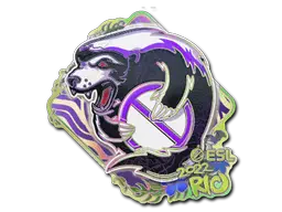 Sticker | Outsiders (Holo) | Rio 2022 Sticker | Outsiders (Holo) | Rio 2022