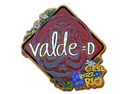 v4lde (Glitter) | Rio 2022