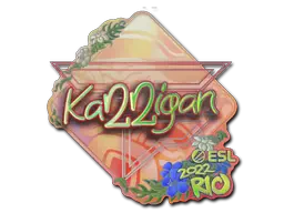 Sticker | karrigan (Holo) | Rio 2022 Sticker | karrigan (Holo) | Rio 2022