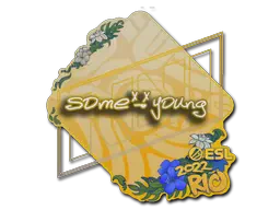 Sticker | sdy | Rio 2022 Sticker | sdy | Rio 2022