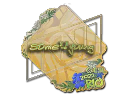 Sticker | sdy (Holo) | Rio 2022