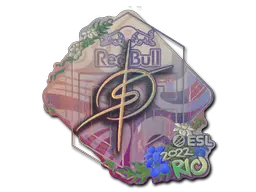 Sticker | degster (Holo) | Rio 2022 Sticker | degster (Holo) | Rio 2022