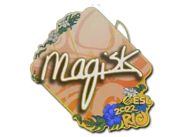 Magisk