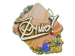 Sticker | ZywOo | Rio 2022