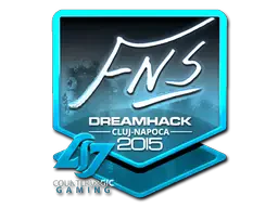 FNS