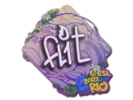 Sticker | FL1T | Rio 2022