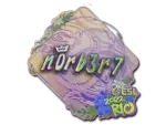 Sticker | n0rb3r7 (Holo) | Rio 2022