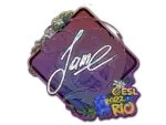 Sticker | Jame (Glitter) | Rio 2022