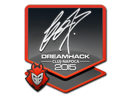 fox | Cluj-Napoca 2015