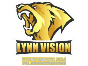 Lynn Vision