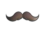 Sticker | Mustachio (Foil)
