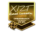 Sticker | Xizt (Gold) | Cluj-Napoca 2015