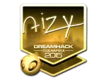 Sticker | aizy (Gold) | Cluj-Napoca 2015