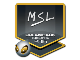 MSL | Cluj-Napoca 2015
