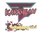 Sticker | karrigan (Holo) | Shanghai 2024