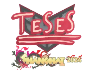 TeSeS