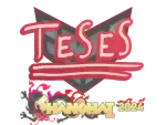 Sticker | TeSeS | Shanghai 2024
