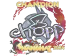 Sticker | chopper (Holo, Champion) | Shanghai 2024