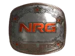 Sticker | NRG (Foil) | Austin 2025