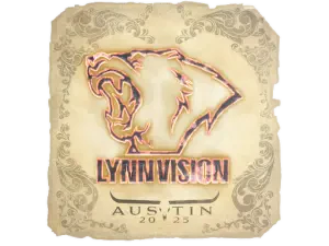 Lynn Vision