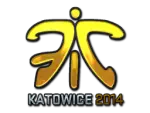 Sticker | Fnatic (Foil) | Katowice 2014
