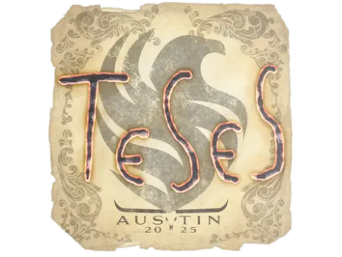 Sticker | TeSeS | Austin 2025