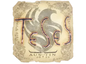 TeSeS