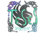 Sticker | TeSeS (Holo) | Austin 2025