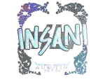 Sticker | insani (Holo) | Austin 2025