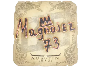 Magnojez