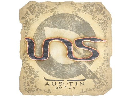 INS | Austin 2025