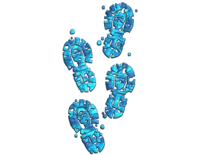 Sticker | CT Tracks (Glitter)