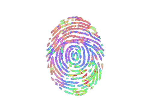 Sticker | Evidence (Holo) Sticker | Evidence (Holo)