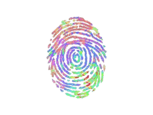 Sticker | Evidence (Holo)