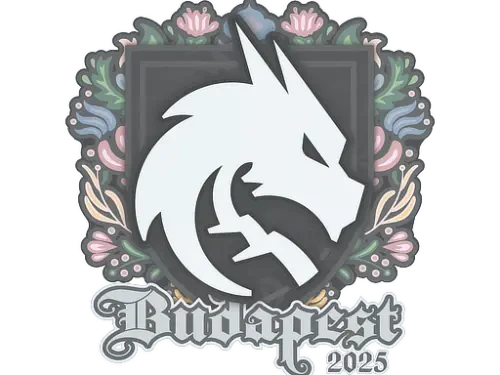 Sticker | Team Spirit | Budapest 2025