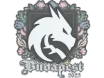 Sticker | Team Spirit | Budapest 2025