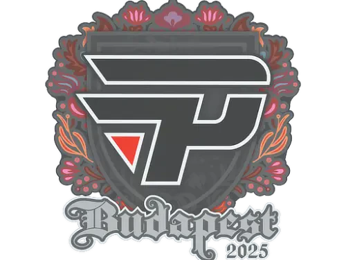 Sticker | paiN Gaming | Budapest 2025