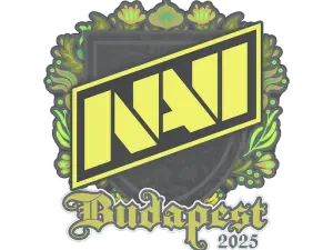 Natus Vincere