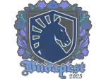 Sticker | Team Liquid | Budapest 2025